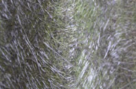 Honeystreet fibreglass roof work